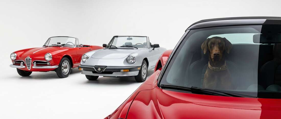 Alfa-Romeo Spyder Touch Up Paint