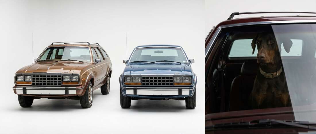 AMC Eagle Touch Up Paint