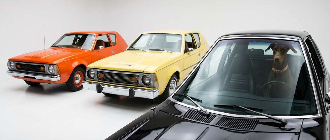 AMC Gremlin Touch Up Paint