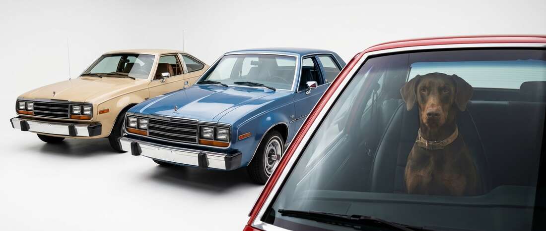 AMC Spirit Touch Up Paint