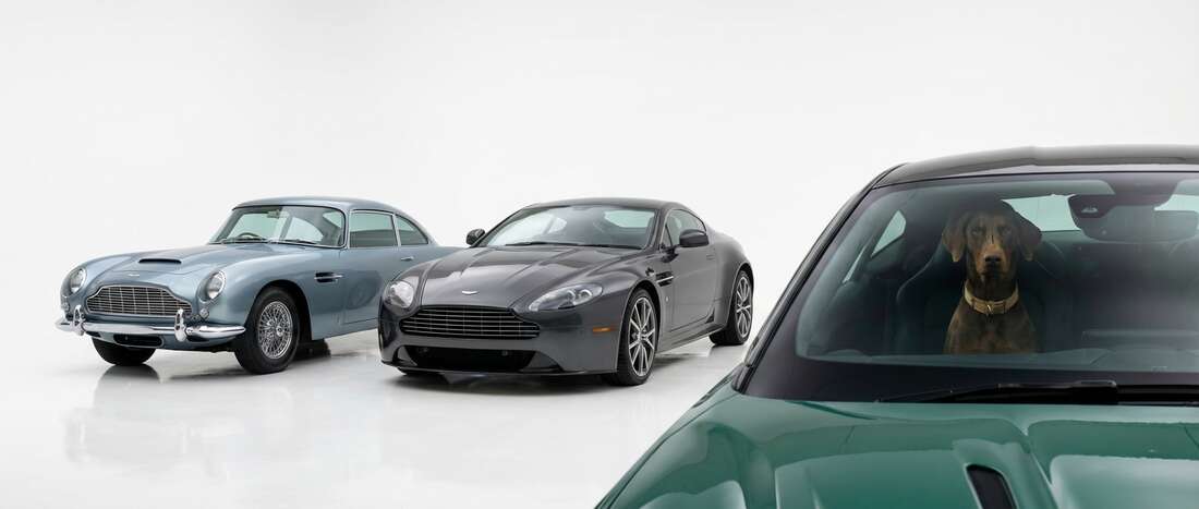 Aston-Martin All Models Touch Up Paint