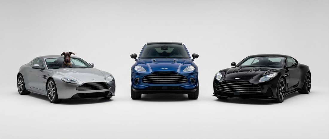 Aston-Martin Touch Up Paint