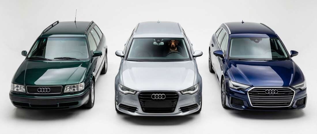 Audi A6 Avant Touch Up Paint