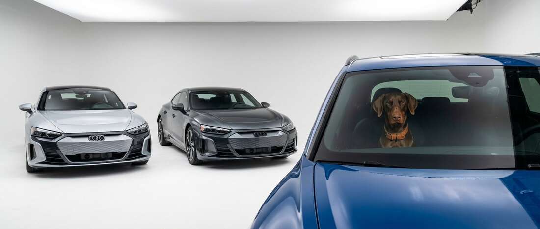 Audi e-Tron GT Touch Up Paint