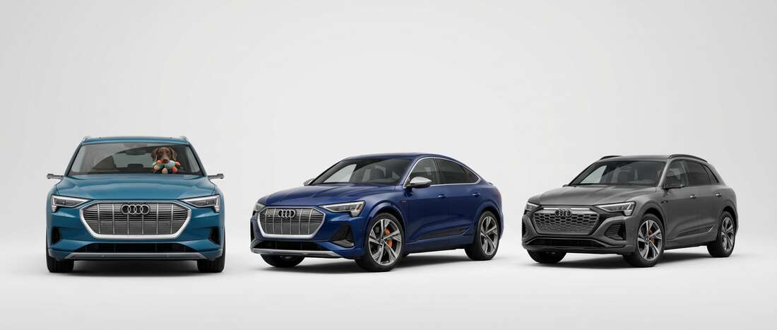 Audi e-Tron Touch Up Paint