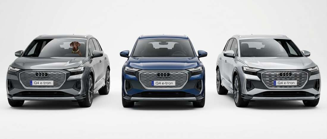 Audi Q4 Touch Up Paint