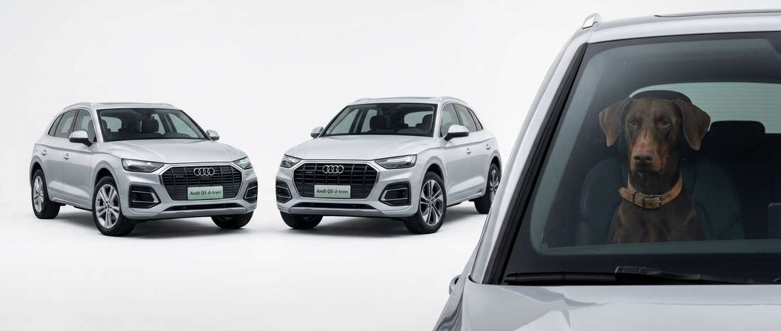 Audi Q5 d-tron Touch Up Paint