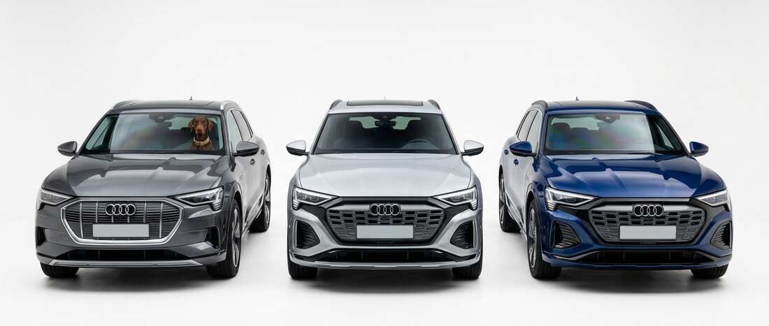 Audi Q8 Etron Touch Up Paint
