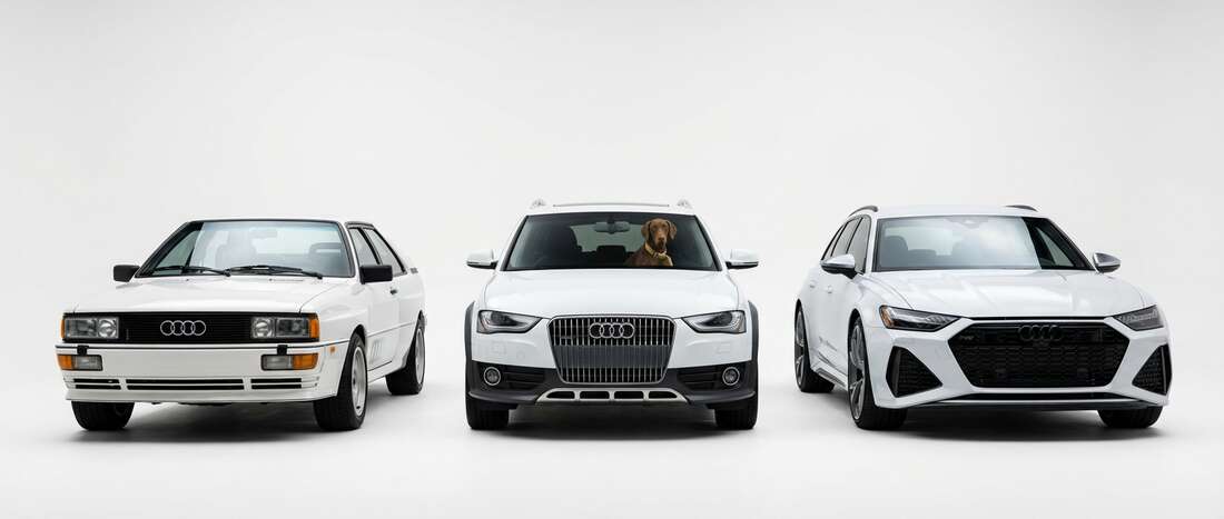 Audi Quattro Touch Up Paint