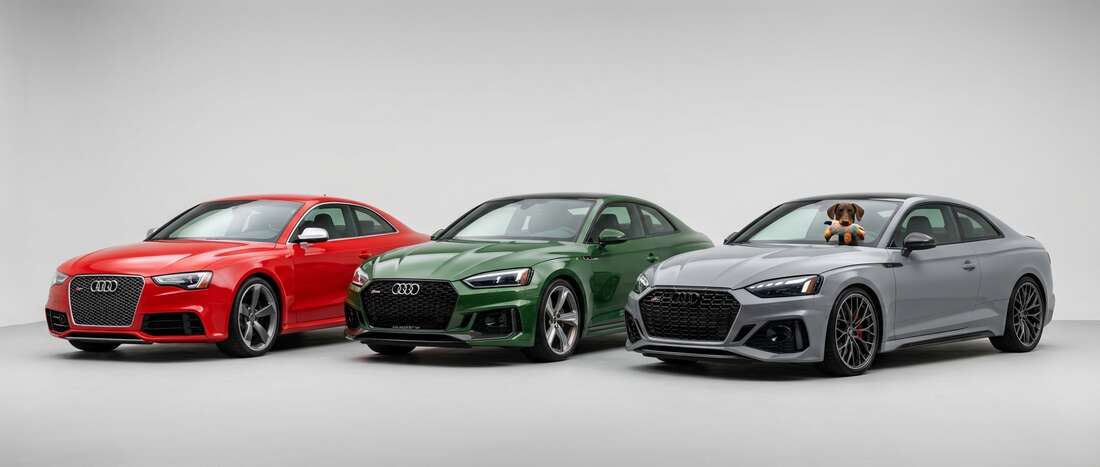 Audi RS-5 Touch Up Paint