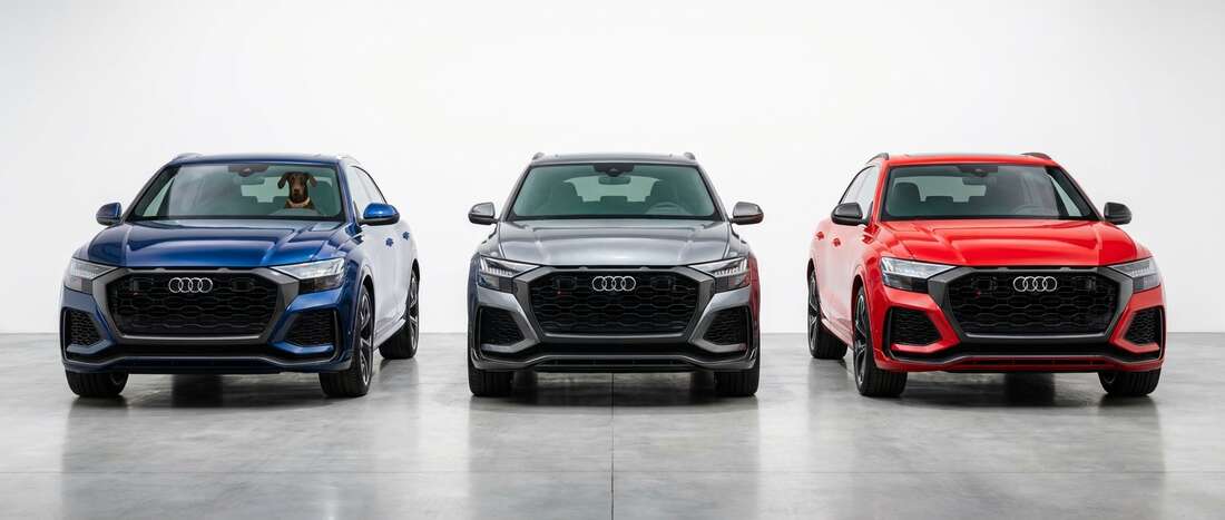 Audi RSQ8 Touch Up Paint