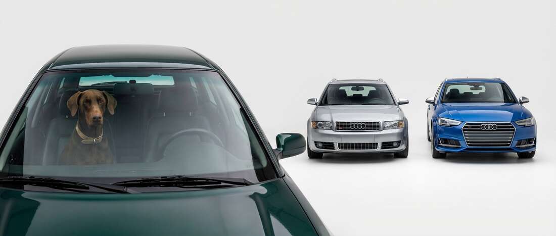 Audi S4 Avant Touch Up Paint