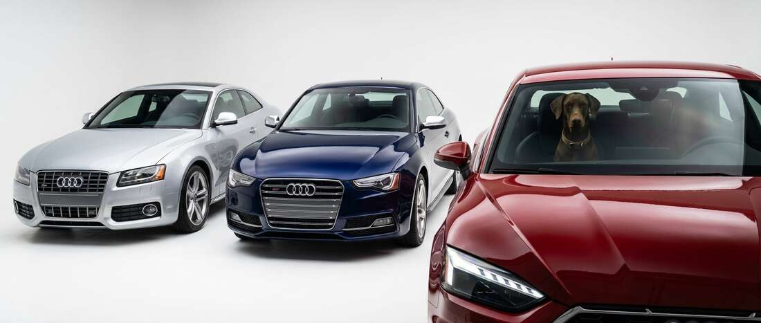 Audi S5Q Touch Up Paint