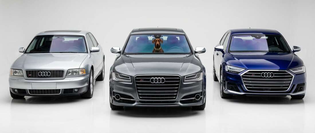 Audi S8 Touch Up Paint