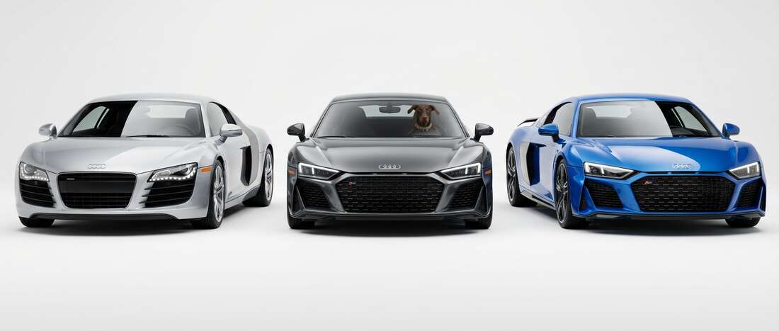 Audi Side Blade R8 Touch Up Paint