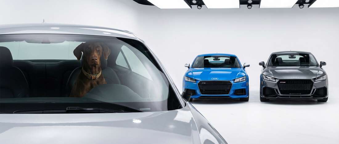 Audi TT RS Coupe Touch Up Paint