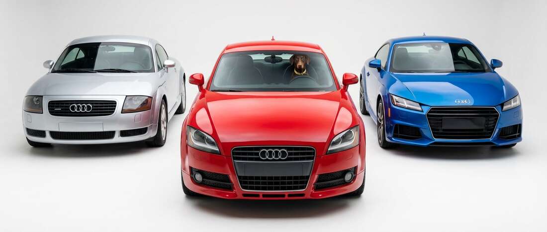 Audi TT Touch Up Paint