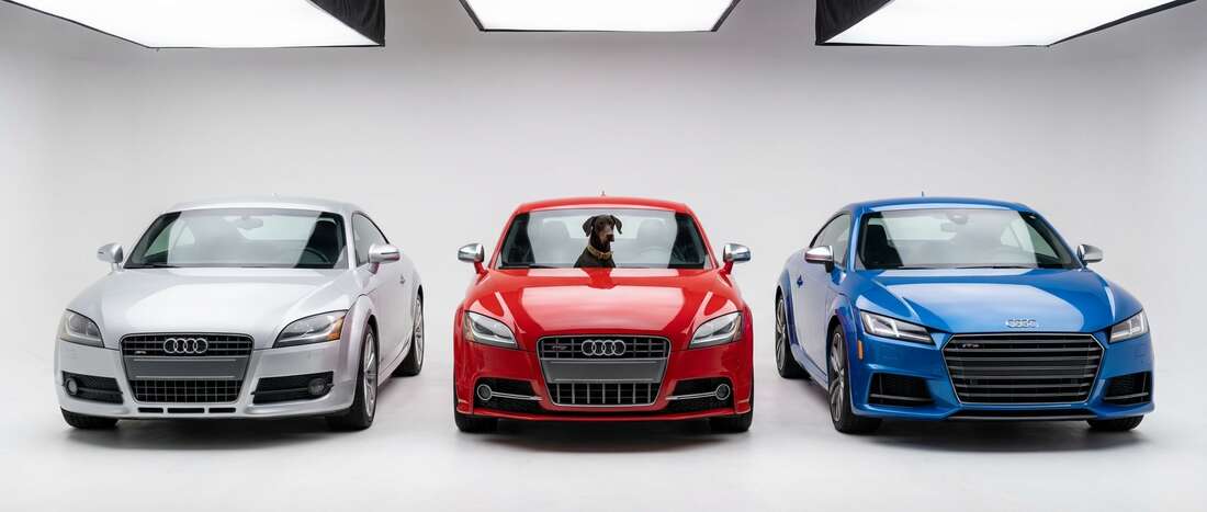 Audi TTS Coupe/Roadster Touch Up Paint