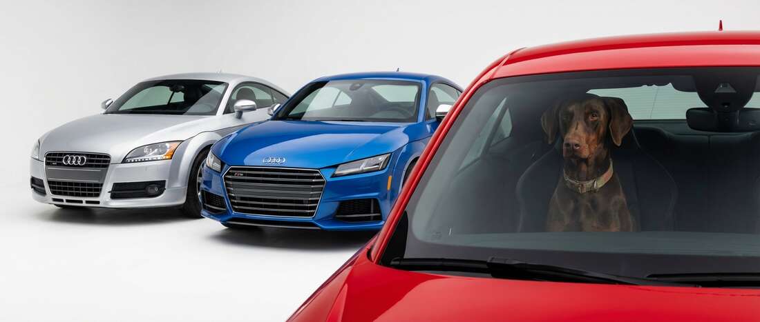 Audi TTS Touch Up Paint