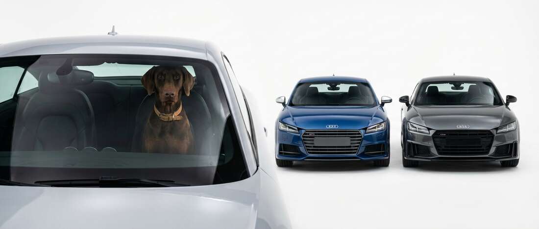 Audi TTSCoupe Touch Up Paint