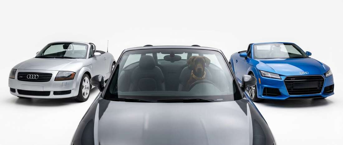 Audi TTSRoadster Touch Up Paint