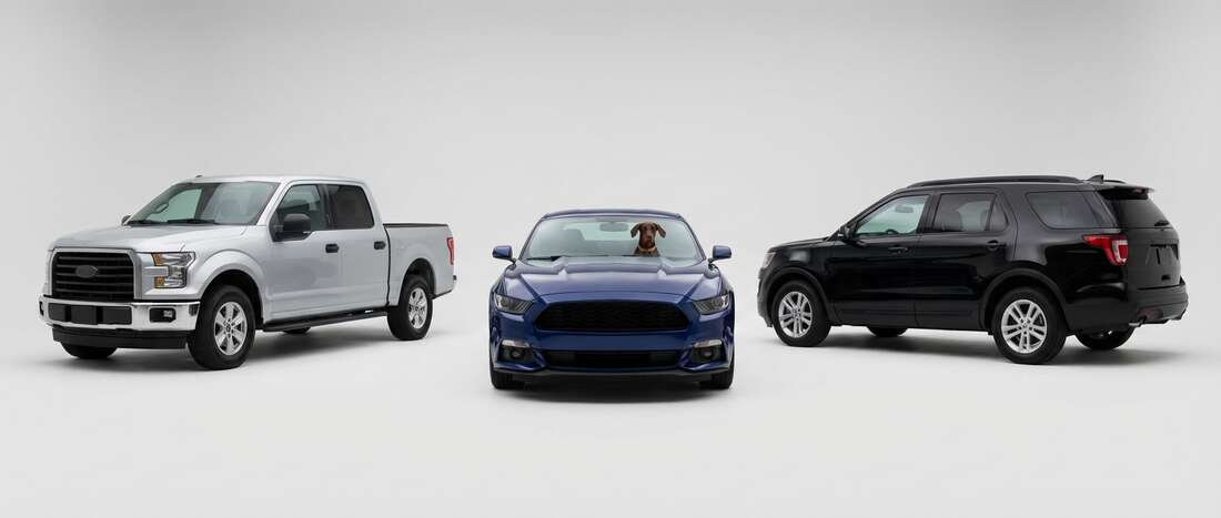 Banner image for Beaver color code locations