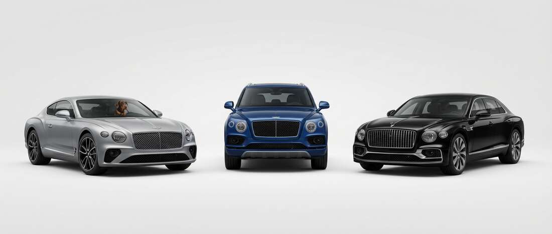 Bentley Touch Up Paint