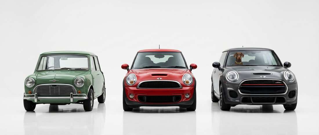 BMC All Models Touch Up Paint