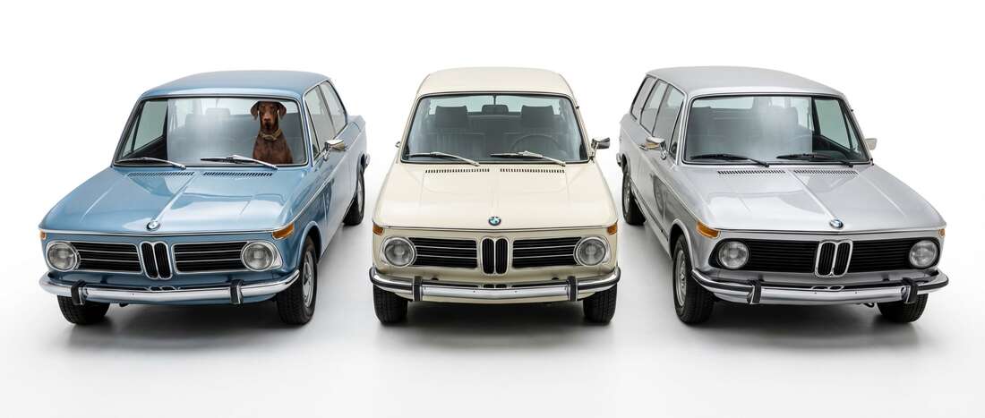 BMW 1600 Touch Up Paint