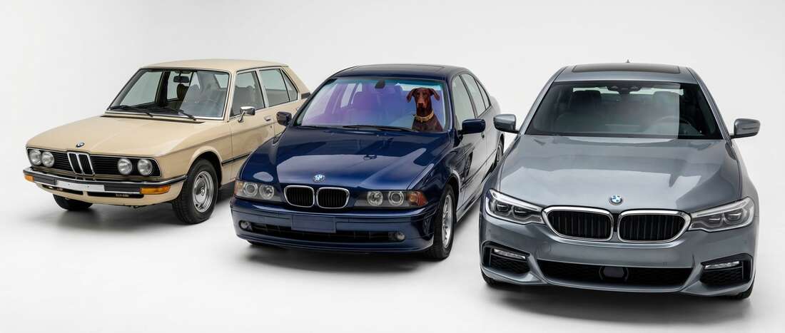 BMW 5 Series Touch Up Paint