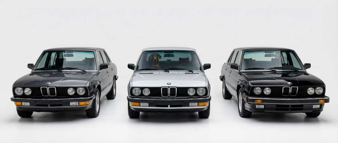 BMW 524TD Touch Up Paint