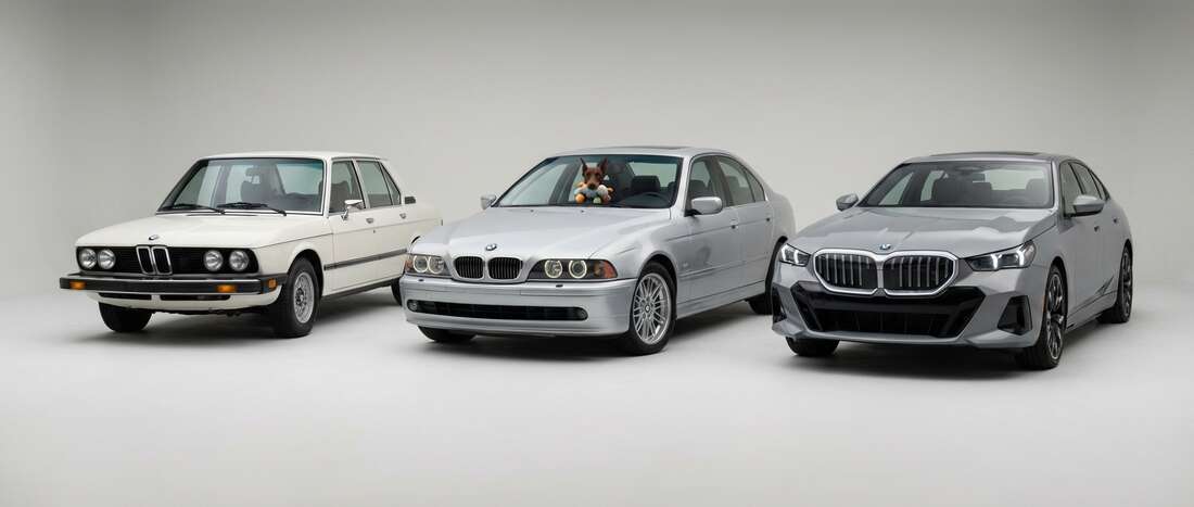 BMW 530 Touch Up Paint