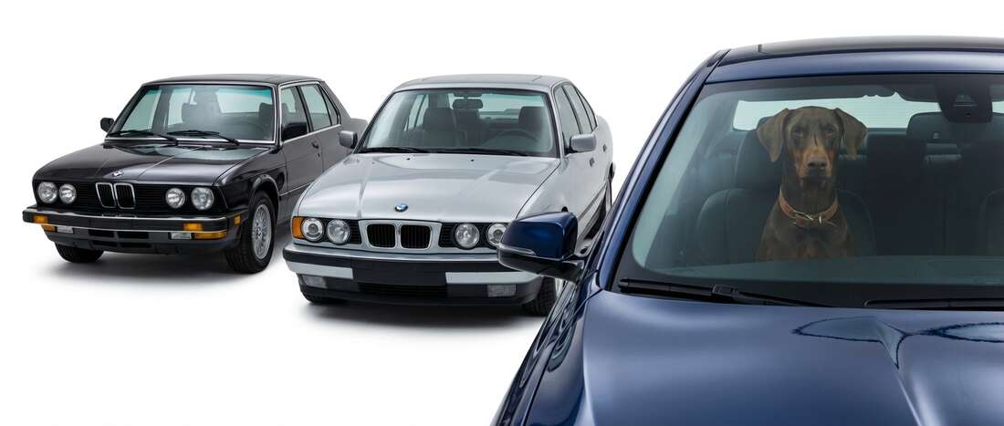 BMW 535I Touch Up Paint