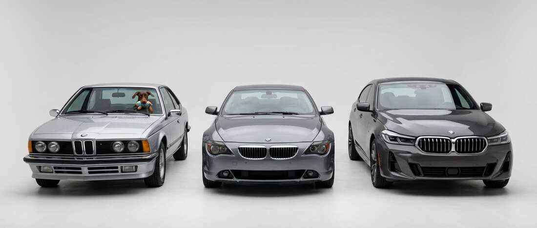 BMW 630 Touch Up Paint