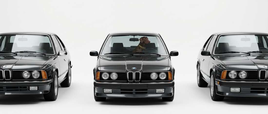 BMW 635CSI Touch Up Paint