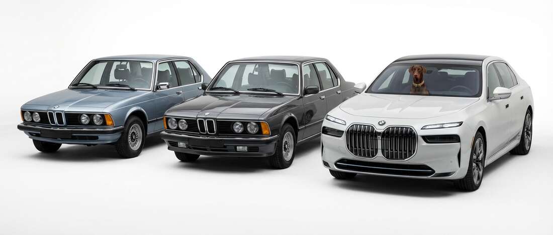 BMW 733 Touch Up Paint