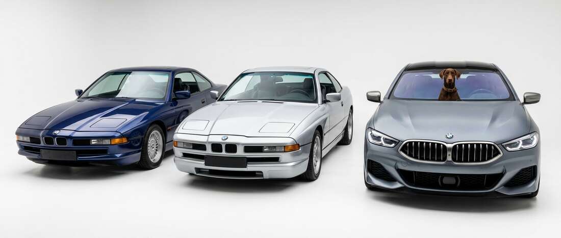 BMW 850i Touch Up Paint