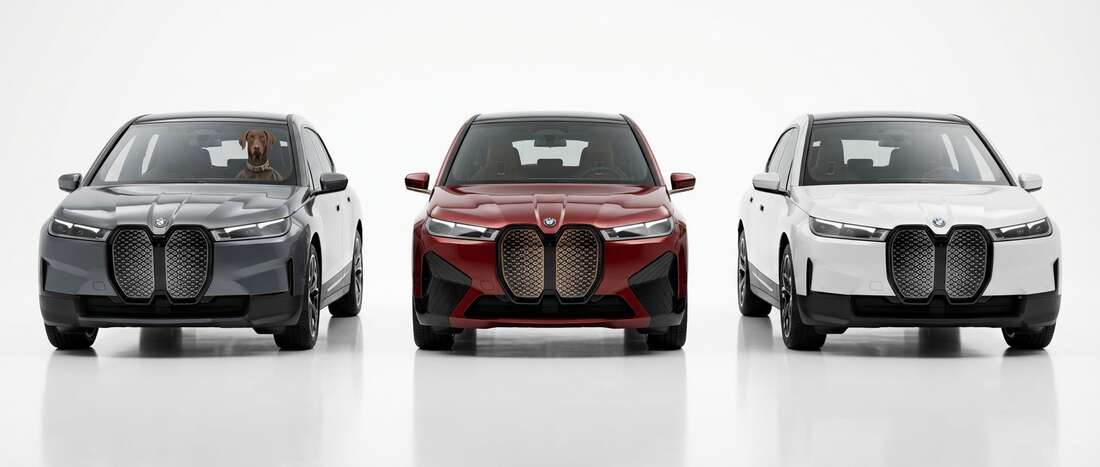 BMW iX Touch Up Paint