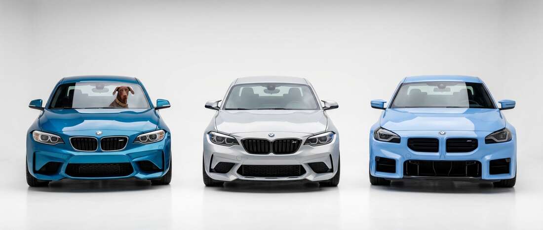 BMW M2 Touch Up Paint