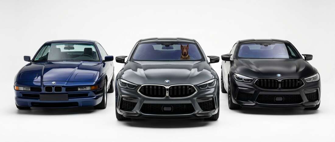 BMW M8 Touch Up Paint