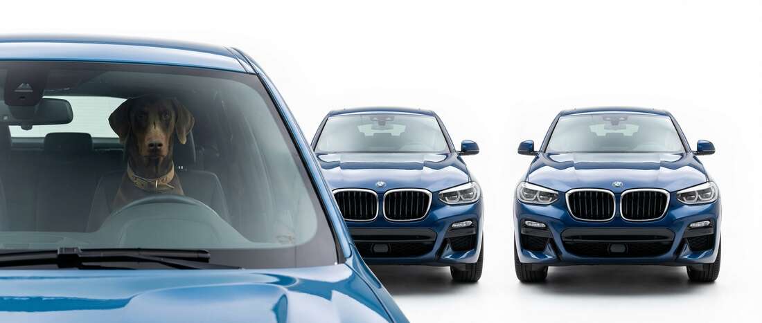 BMW X4 Touch Up Paint