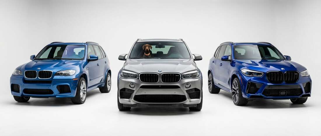 BMW X5M Touch Up Paint