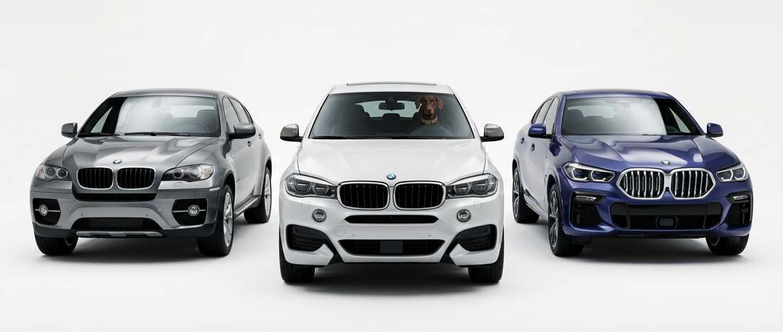 BMW X6 Touch Up Paint