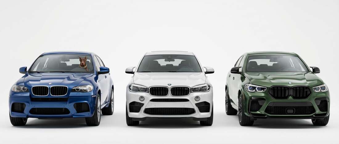 BMW X6M Touch Up Paint