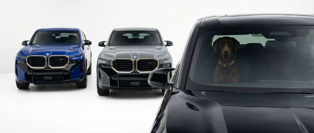 BMW XM Touch Up Paint