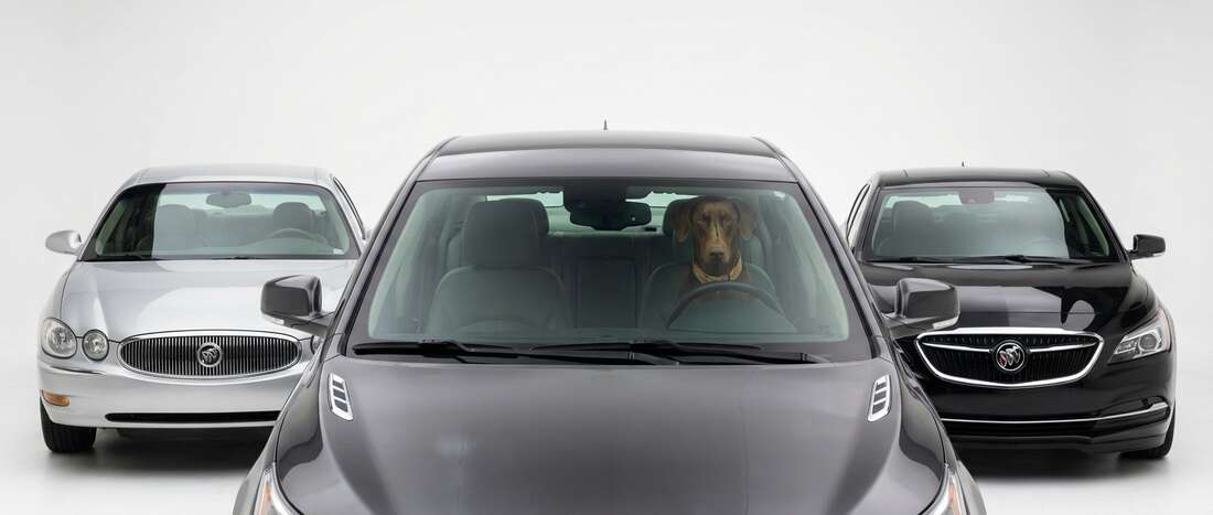 Buick Allure Touch Up Paint