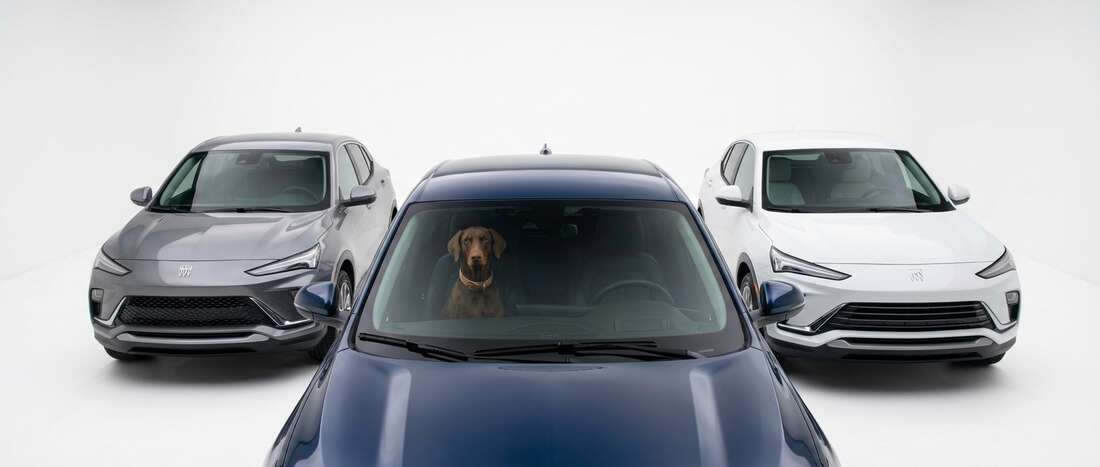 Buick Envista Touch Up Paint