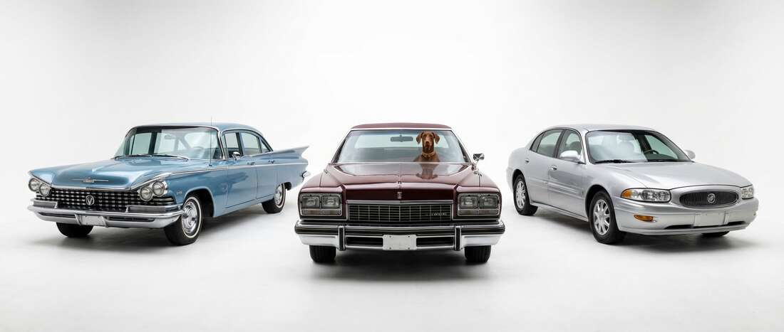 Buick LeSabre Touch Up Paint