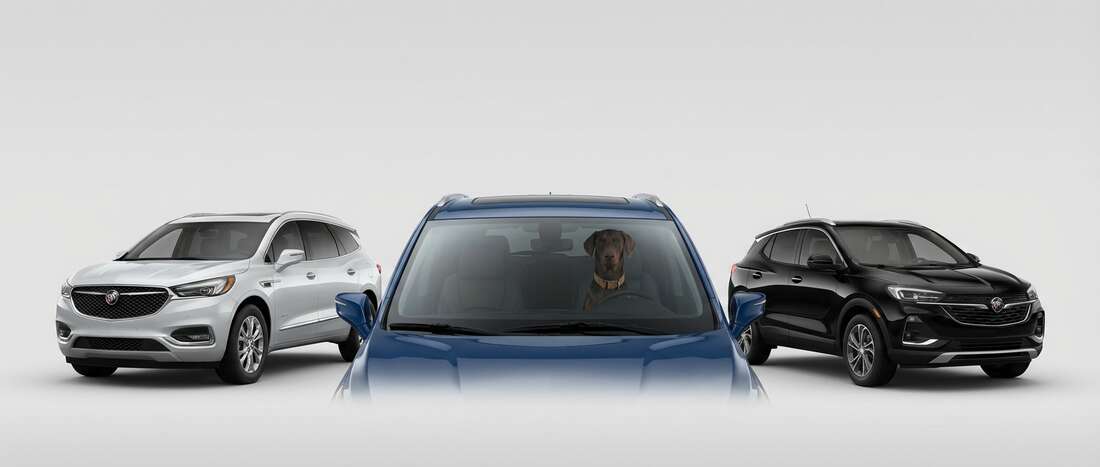 Buick Touch Up Paint