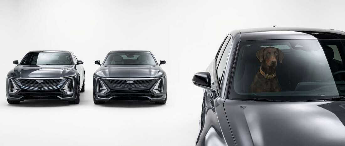 Cadillac Celestiq Touch Up Paint